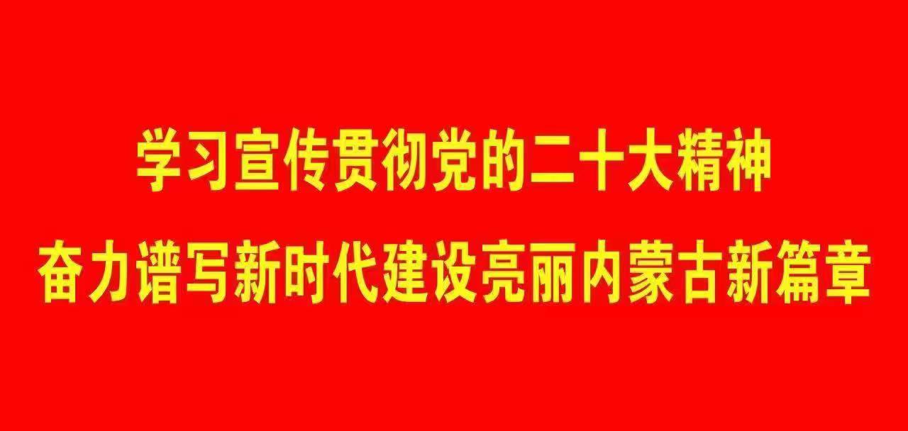 学习宣传贯彻党的二十大精神